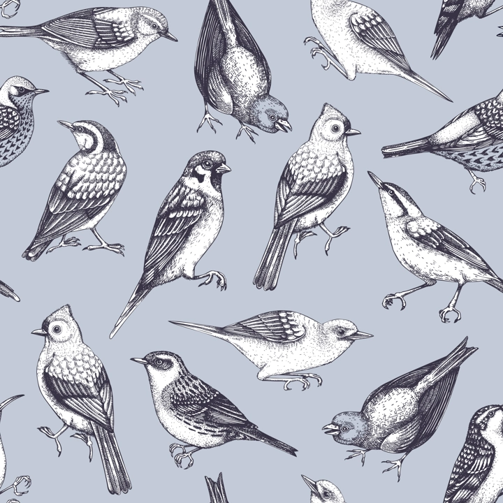 Hand drawn birds seamless pattern in engraved style. Backyard songbirds - eyebrowed thrush, titmouse, sparrow, great tit vector background. Detailed wildlife texture
